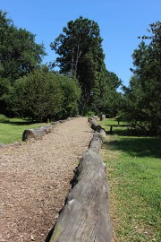 arboretum in summer, a trail heads into the trees at OPPD Arboretum
