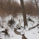 TRE_Arboretum, winter_Creek
