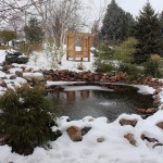TRE_Arboretum, winter_Pond