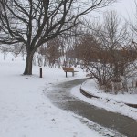 TRE_Arboretum, winter_Winding Path