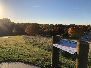 COLORS_High on the Hill_Laura