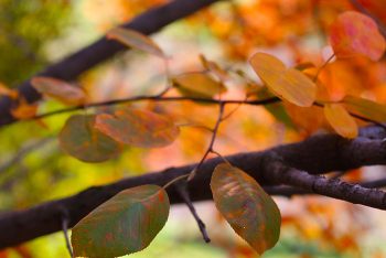 COLORS_Holdouts_Jodi