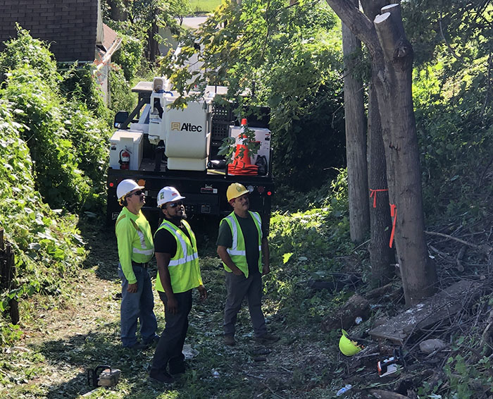 Utility forester, tree-trimming crew evaluates a job site