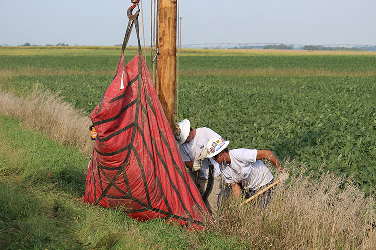 T&D_Apprentice Wrap Job_backfilling