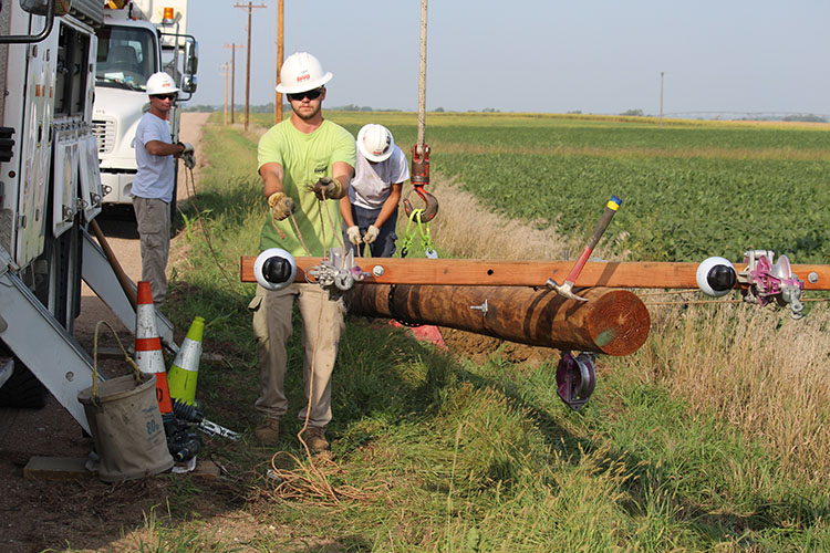 T&D_Apprentice Wrap Job_line stringing