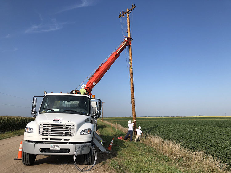 T&D_Apprentice Wrap Job_pole set