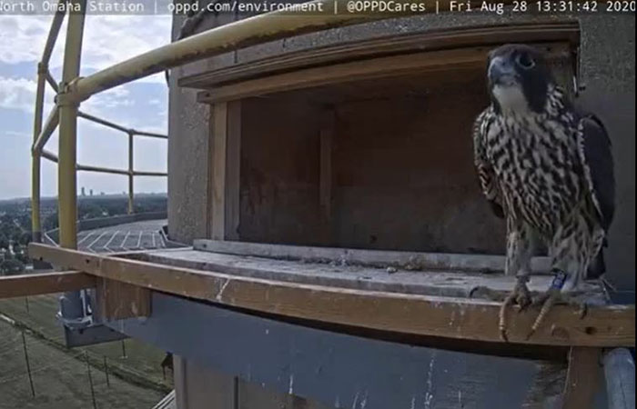 ENV_Storm Sticks Around_screen grab